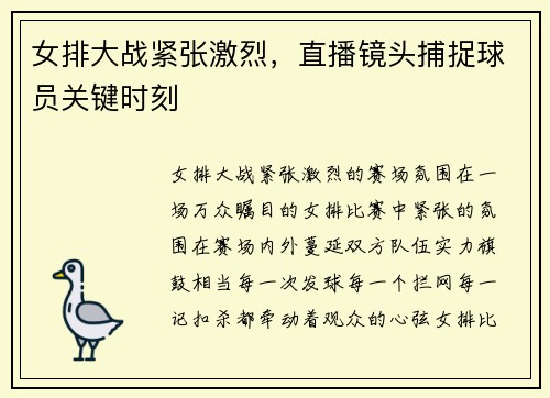 女排大战紧张激烈，直播镜头捕捉球员关键时刻